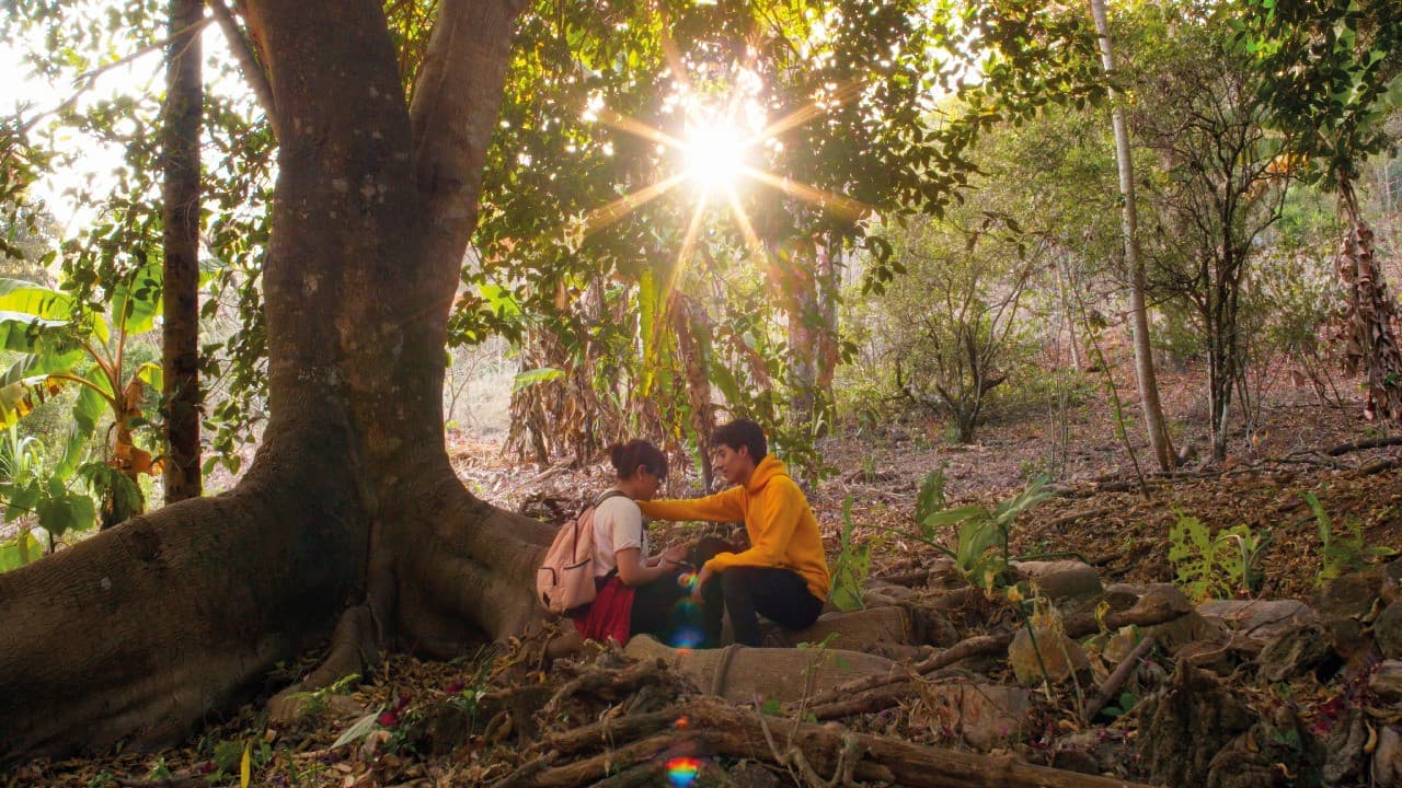 Beyond My Head backdrop