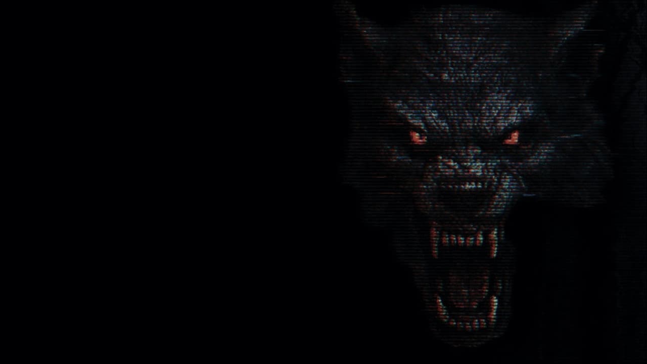 The Fairfield County Four backdrop