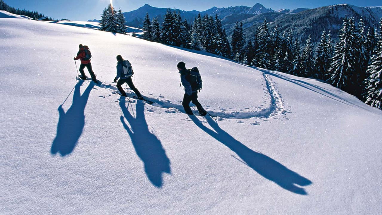 Winter Essentials backdrop