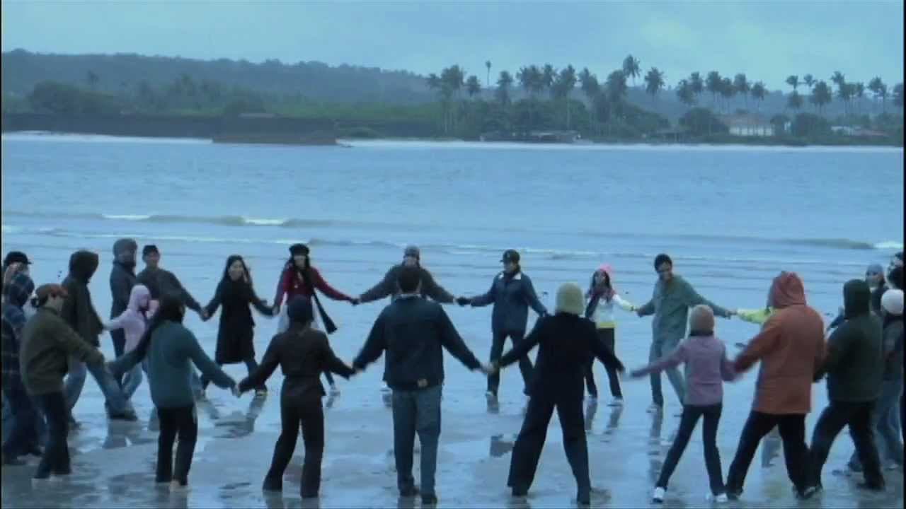 Cold Tropics backdrop