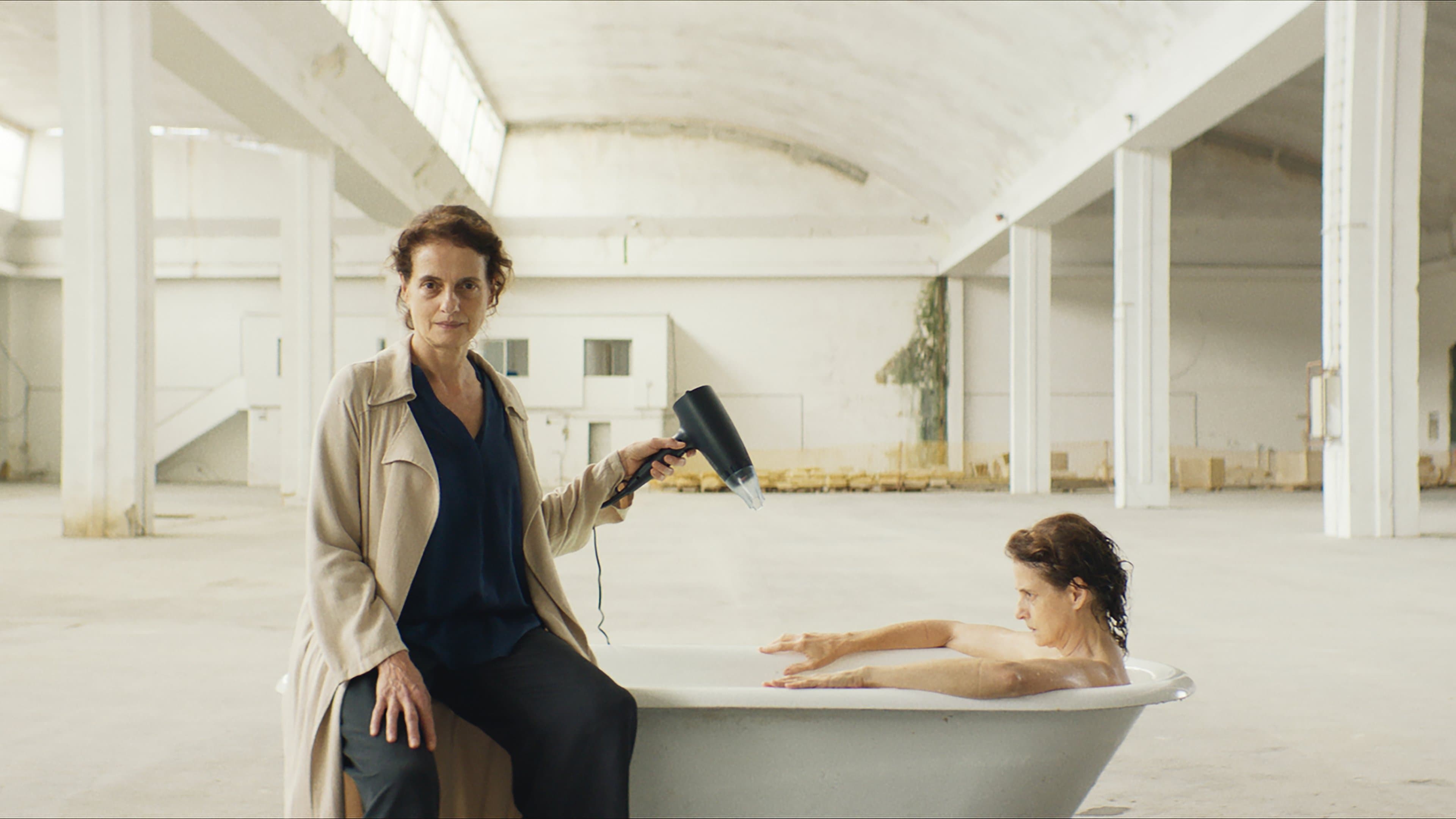 Dreaming of Lions backdrop