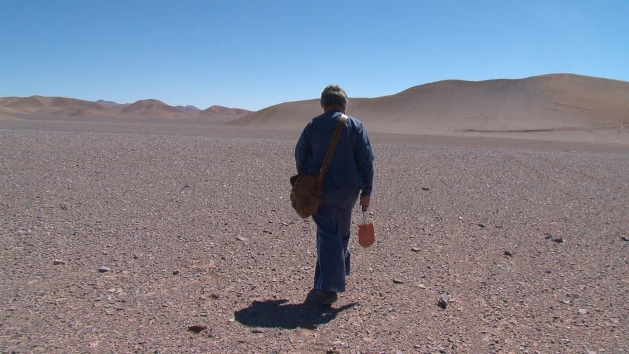 Nostalgia for the Light backdrop