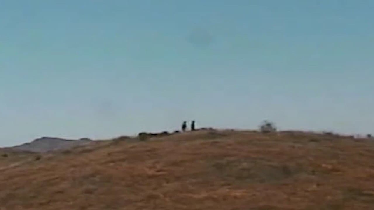 Bountiful Triumph backdrop