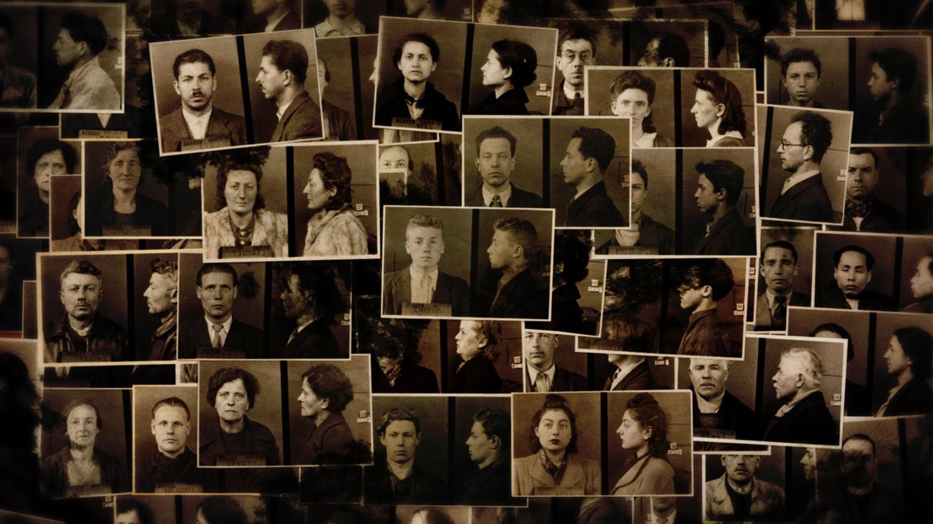 Dénoncer sous l'Occupation backdrop