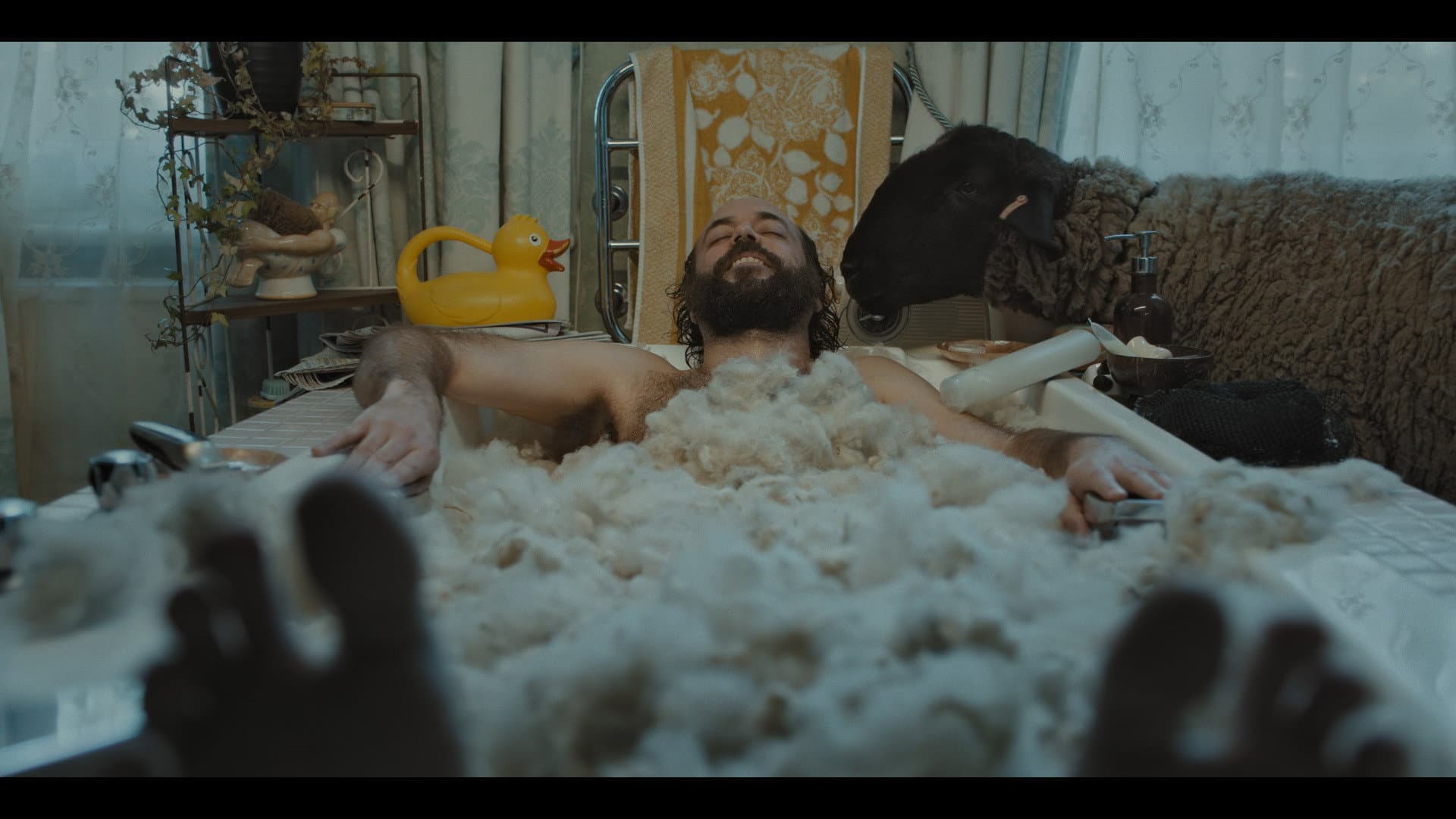 Herd Immunity backdrop