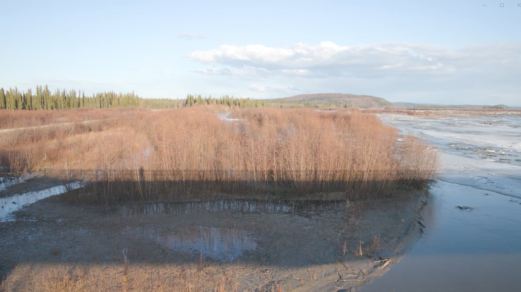 The Story of a Slough backdrop