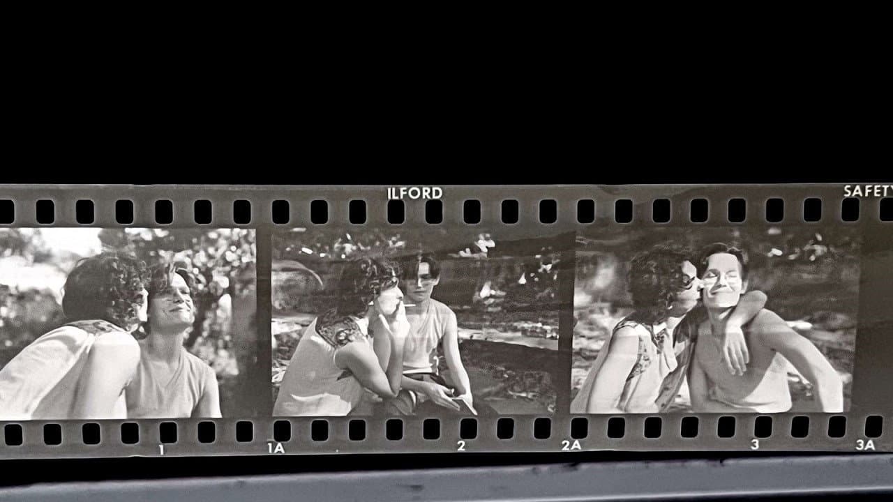 Flower talk backdrop