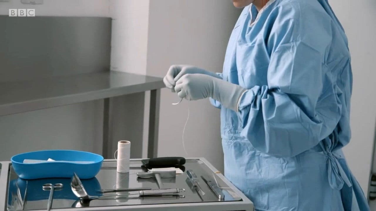 Obesity: The Post Mortem backdrop