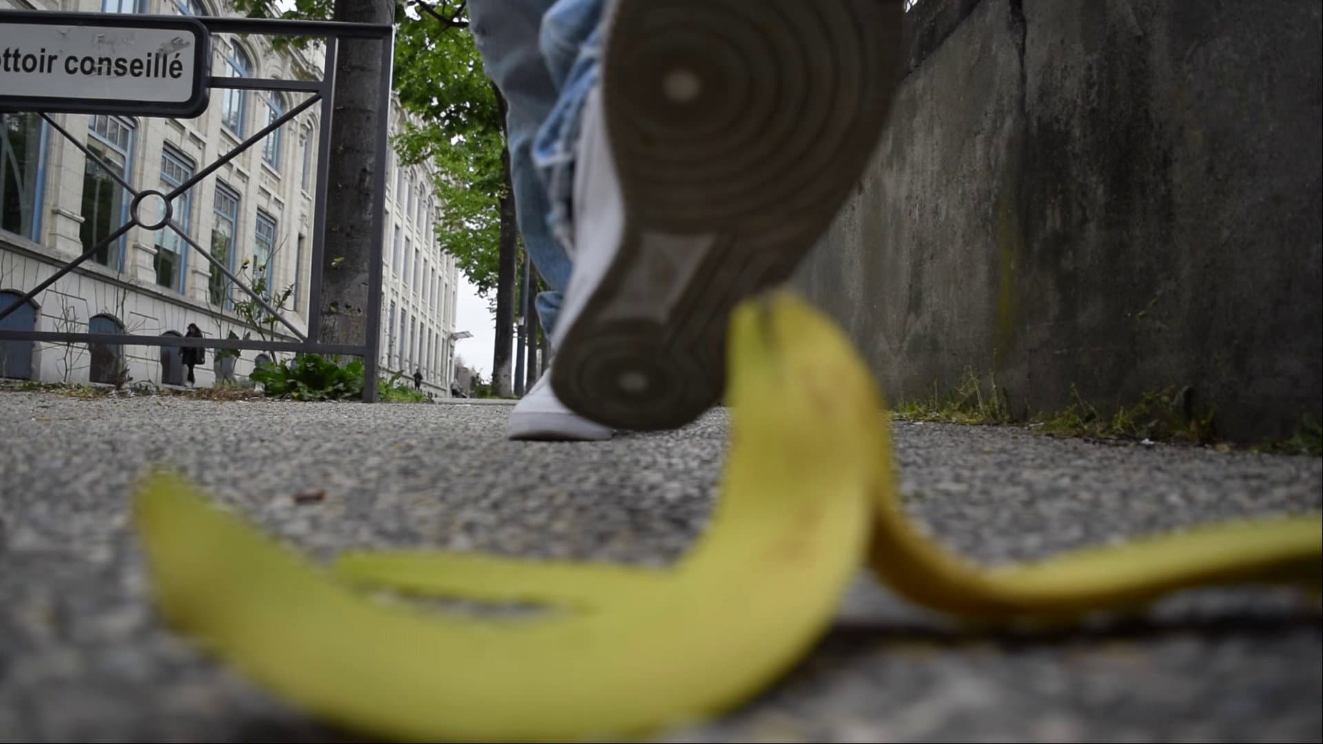 Always Morning backdrop