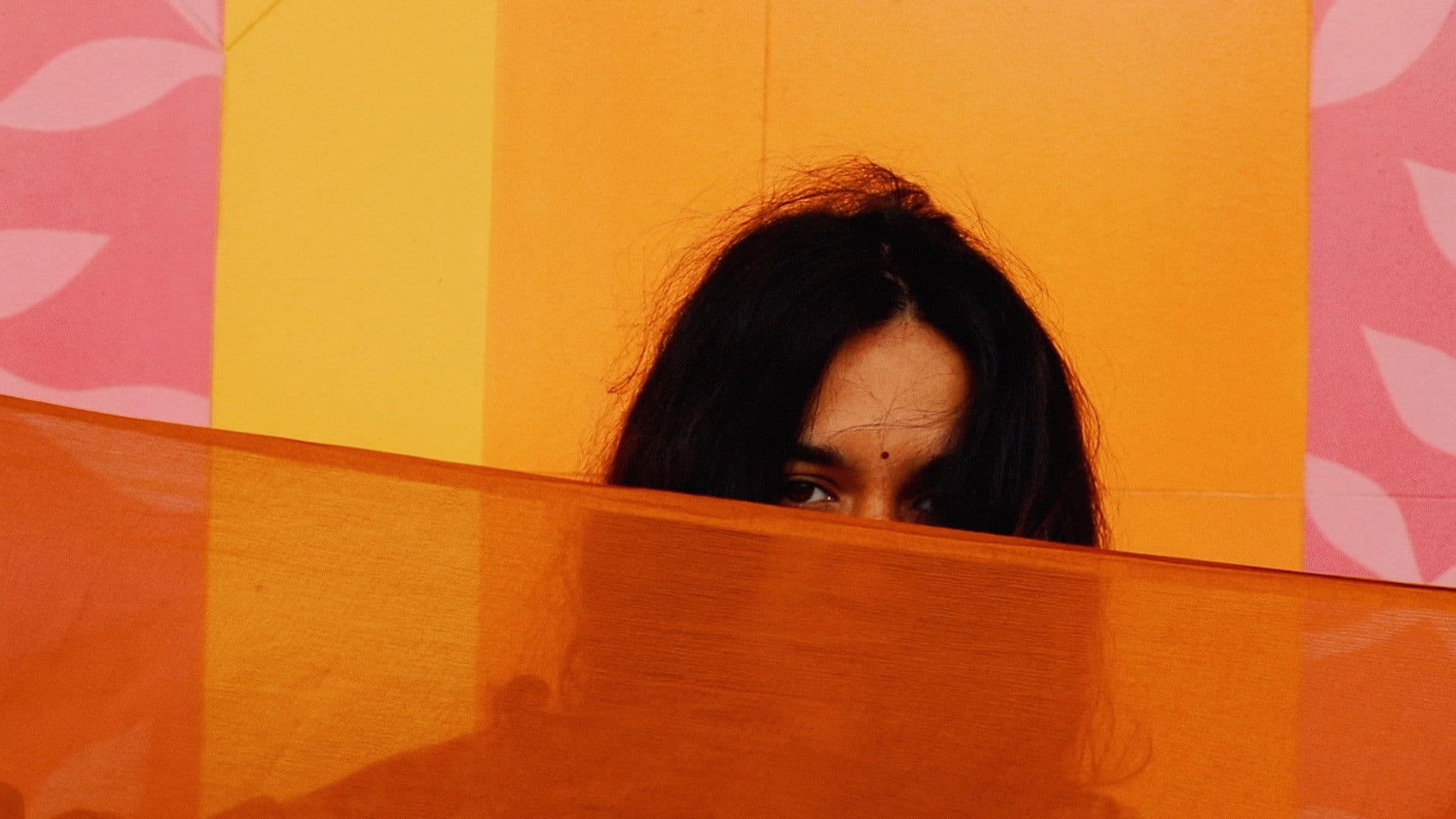 Our Punjabi Market - a poetry film backdrop