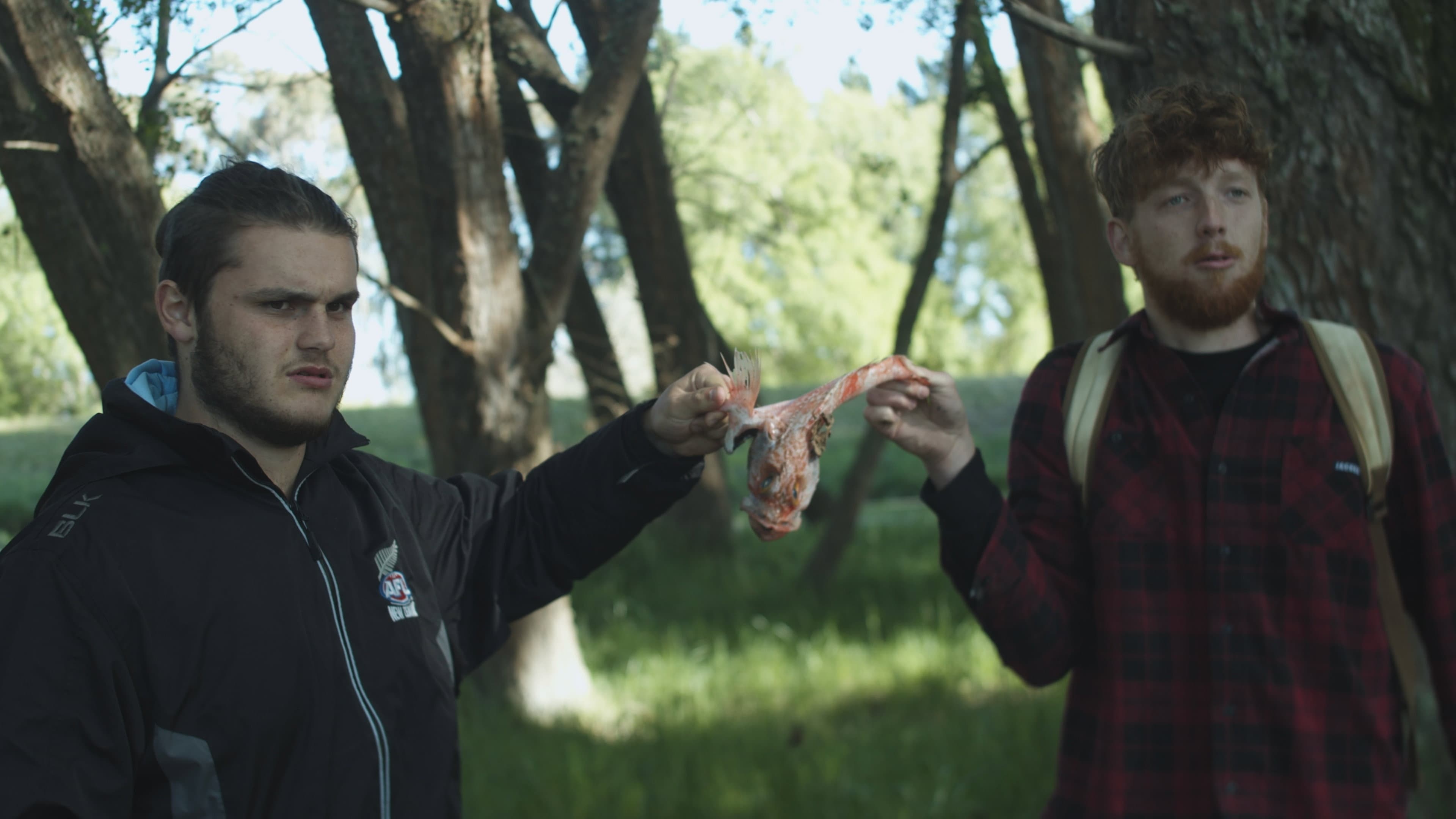 To Catch a Fish backdrop