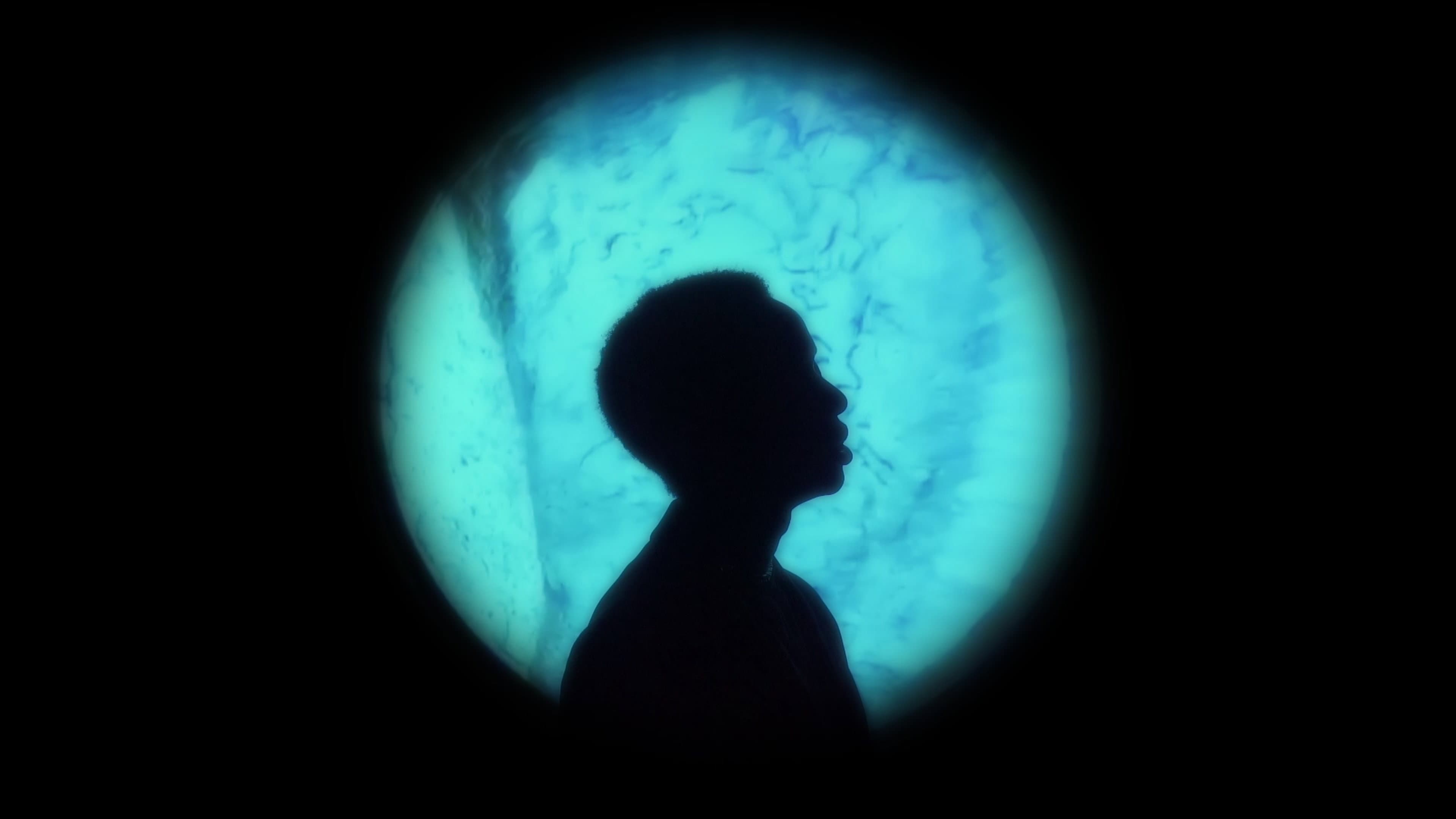 The Olympean Collection backdrop