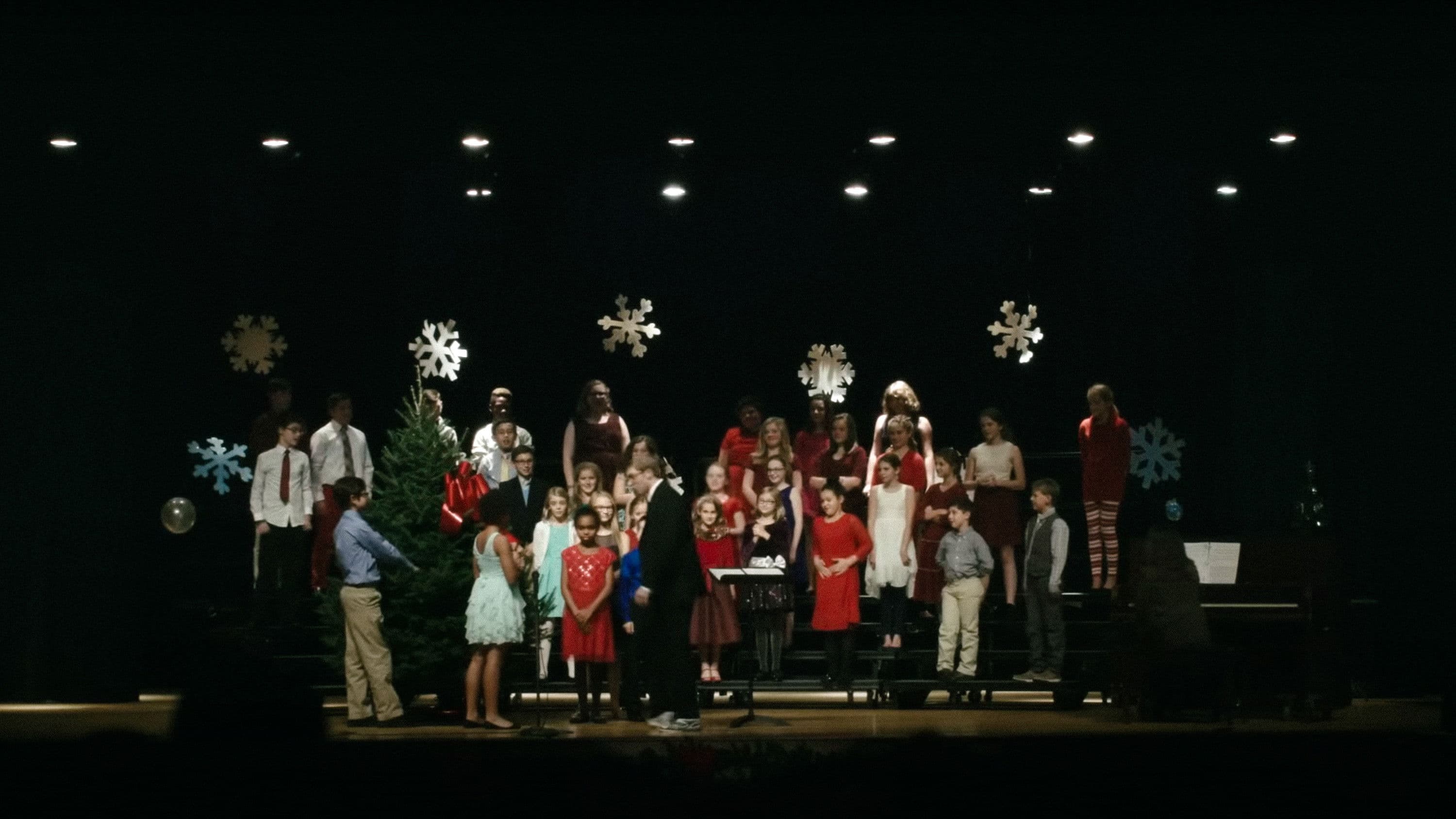 Joe Pera Helps You Find the Perfect Christmas Tree backdrop