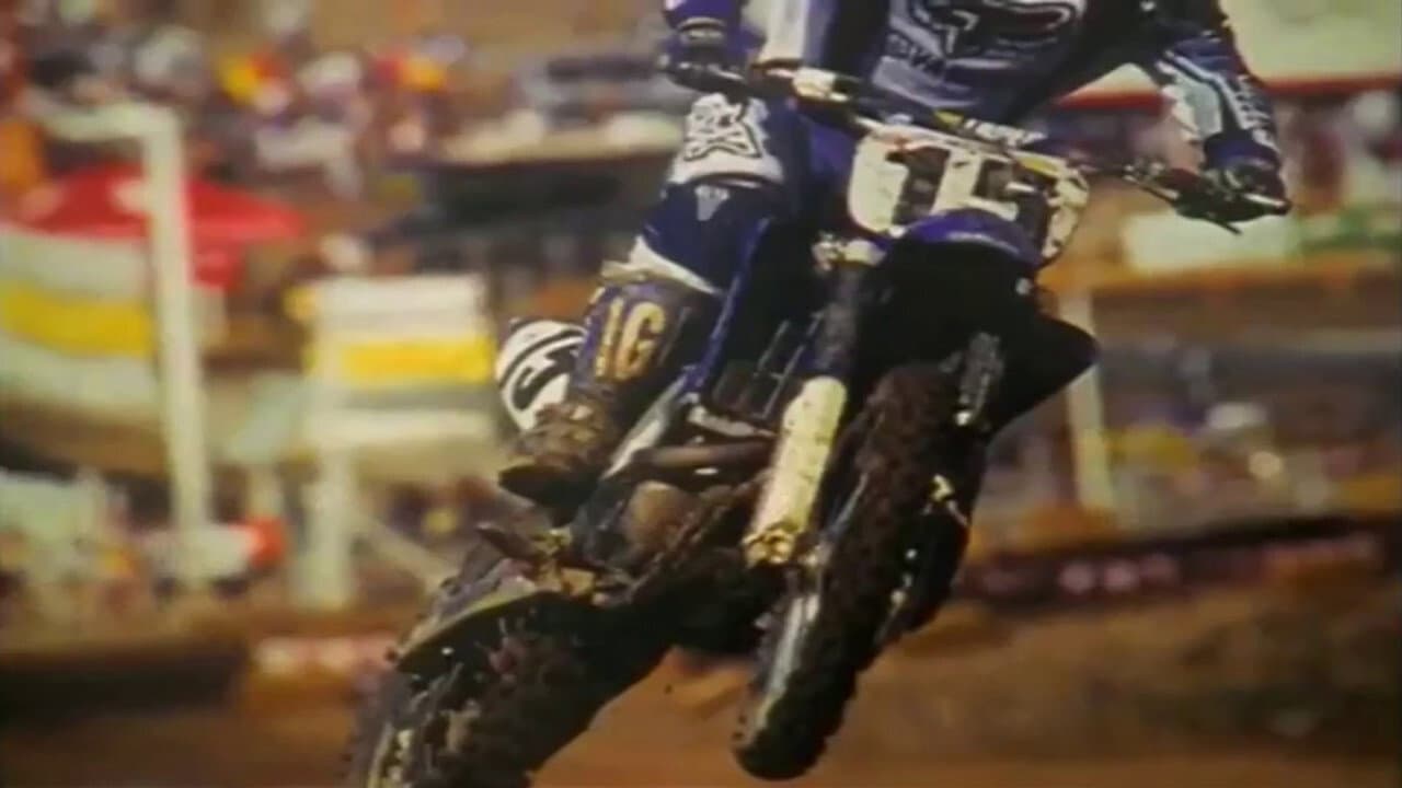 Terrafirma 7 backdrop