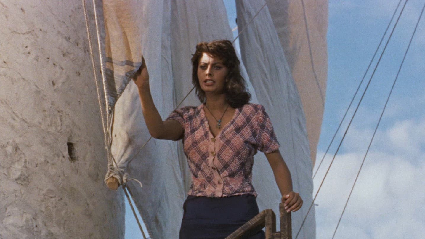 Boy on a Dolphin backdrop