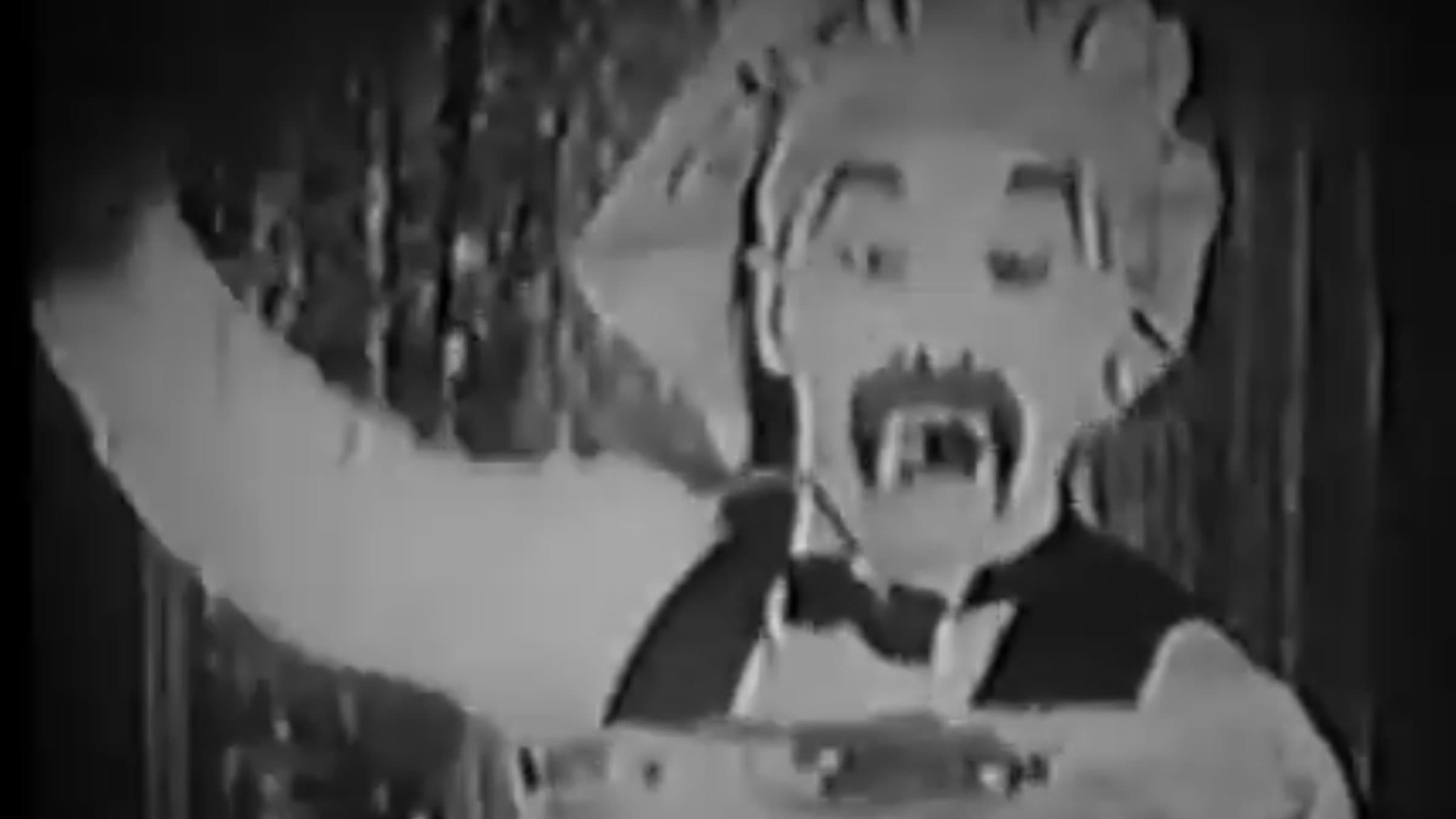 The Green Cat backdrop