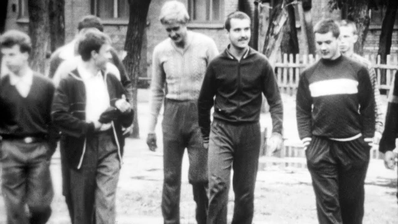 And What About Your Backyard? backdrop