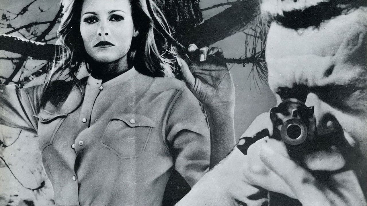 Nightmare in the Sun backdrop