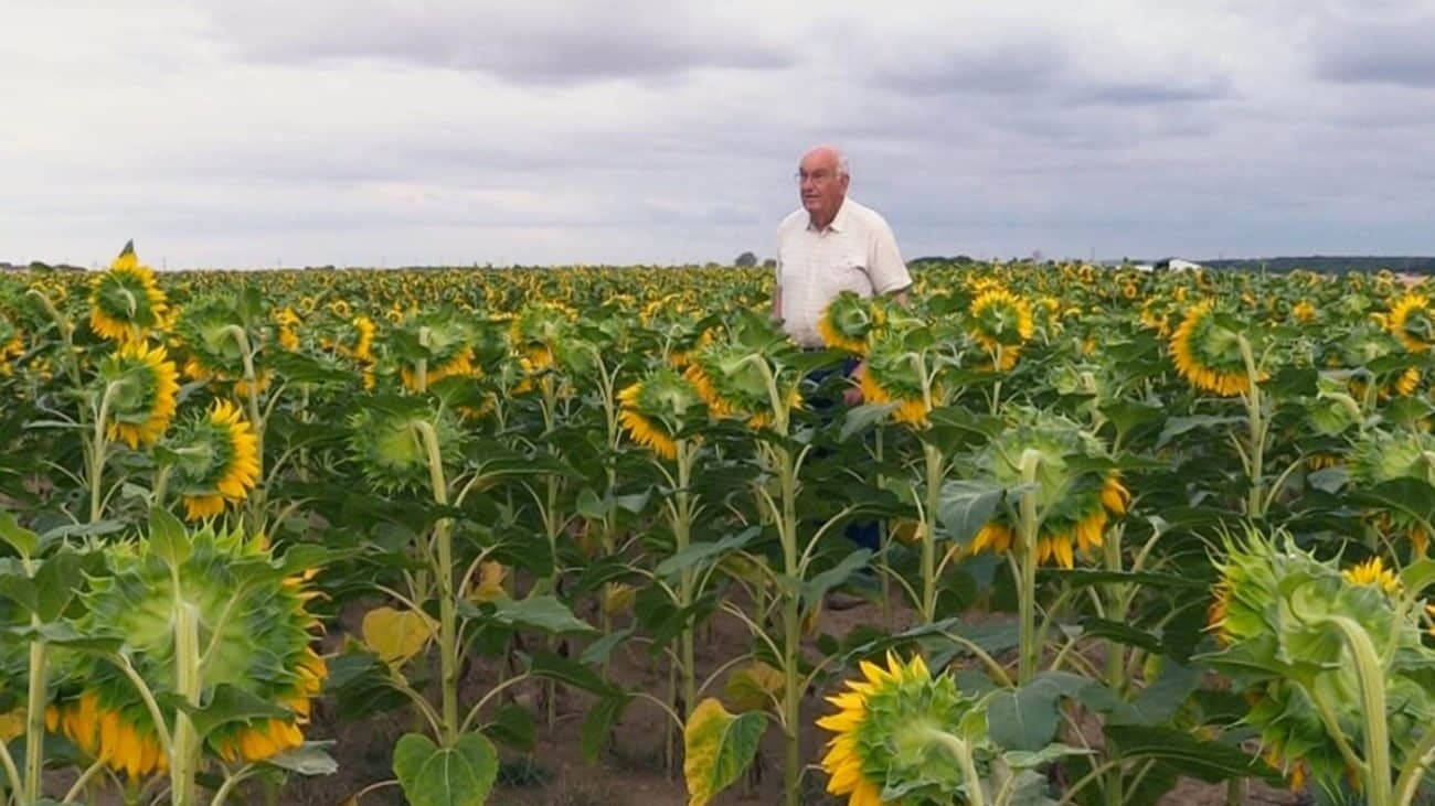 Beau comme un tracteur backdrop