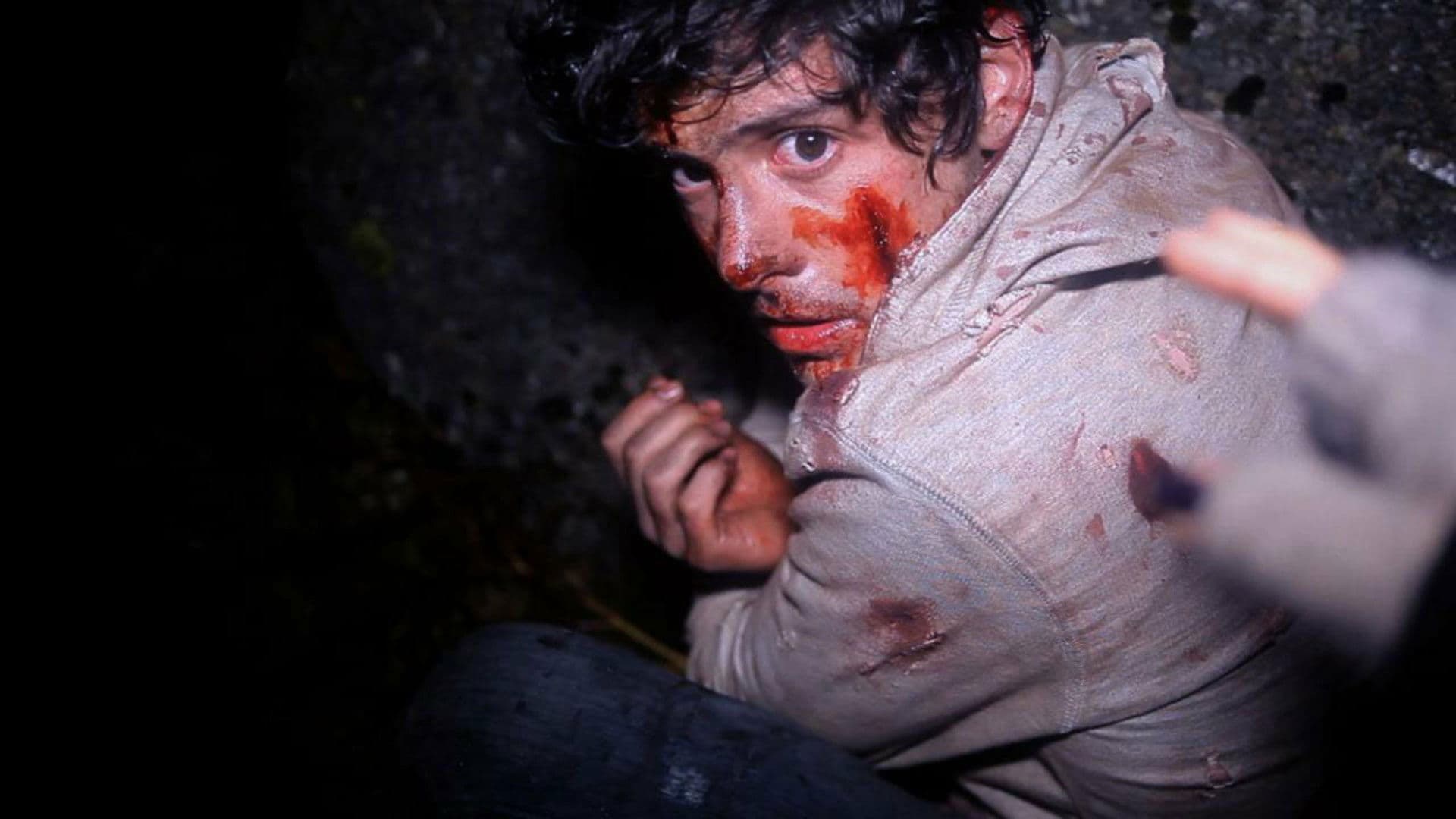 A Night in the Woods backdrop