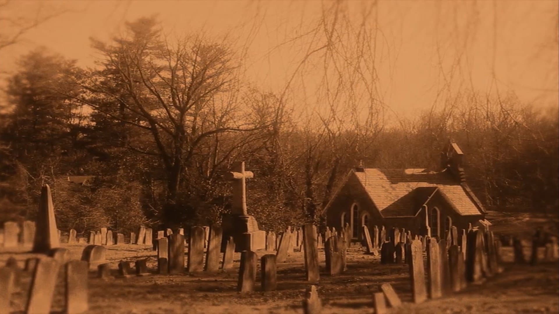 Garden Of Souls backdrop