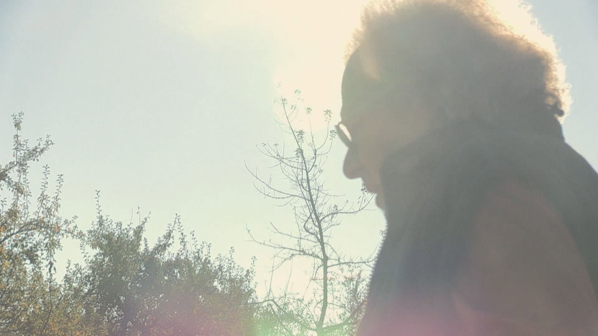 W. - What Remains of the Lie backdrop