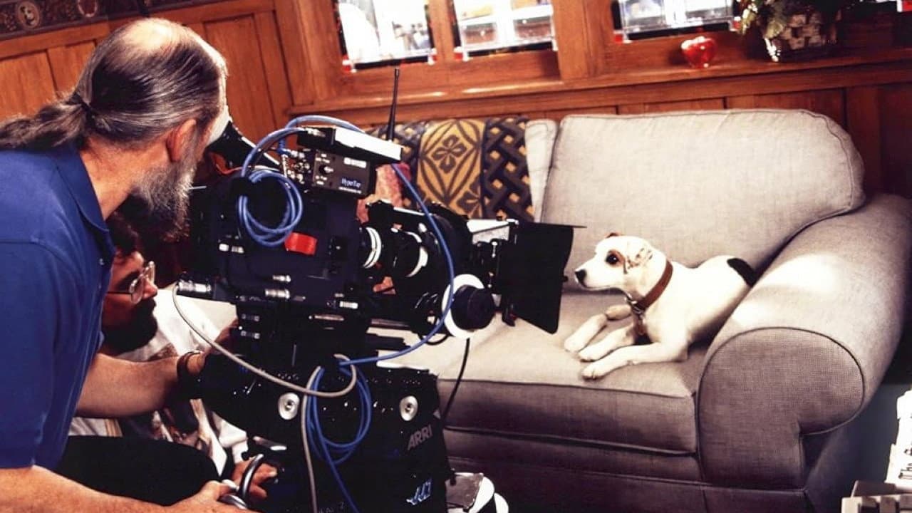 What's the Story, Wishbone? backdrop