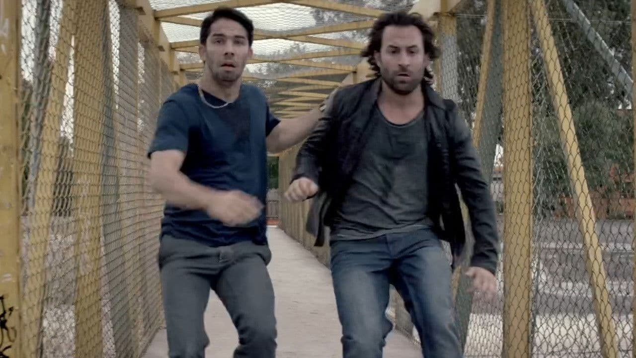 Thoroughbred backdrop