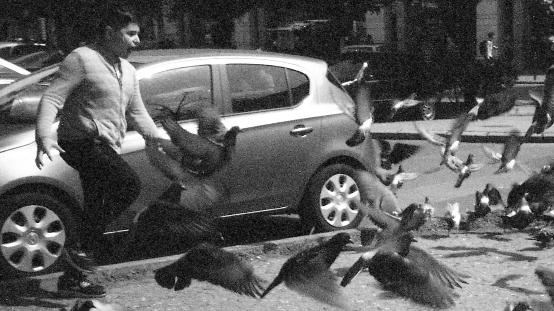 Rekviem egy galambért backdrop