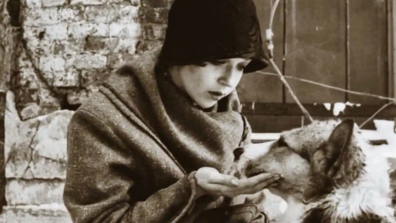 Heart of a Dog backdrop