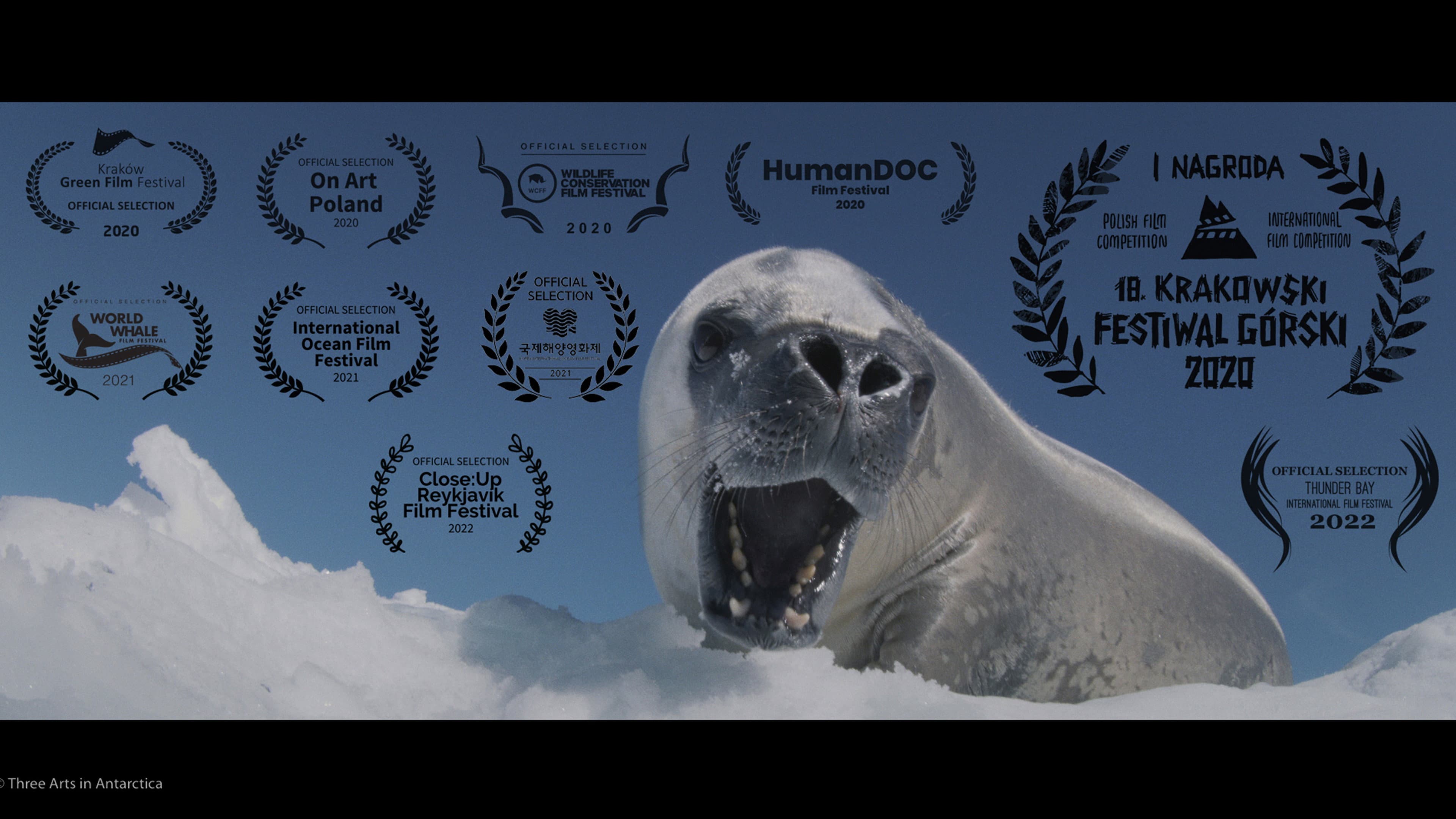 Three Arts in Antarctica backdrop