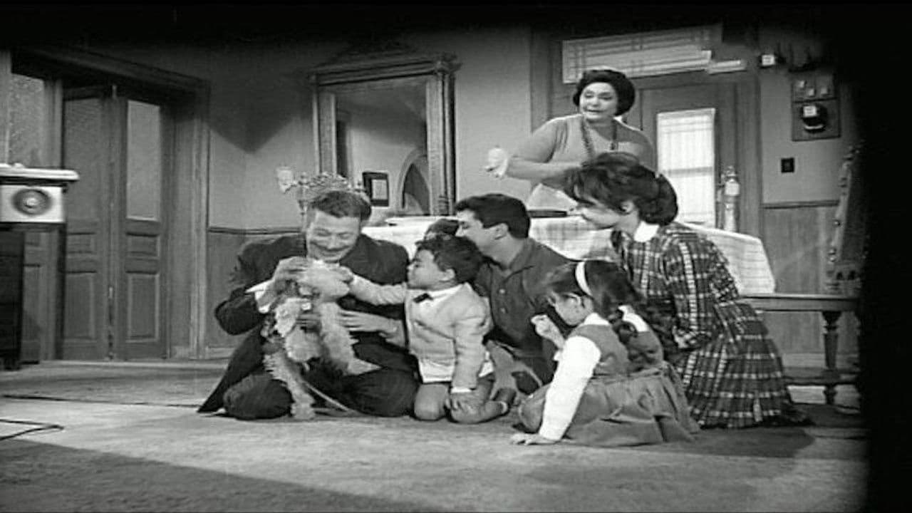 Mother of the Bride backdrop