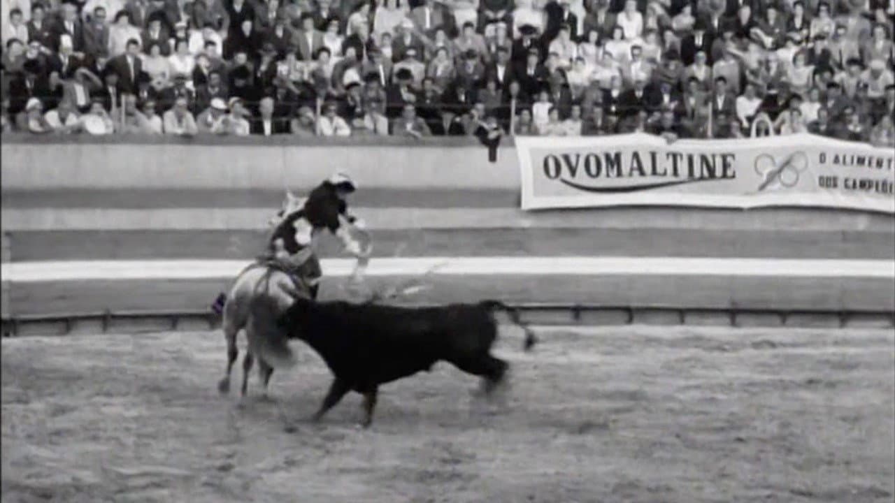 Born to Fight backdrop