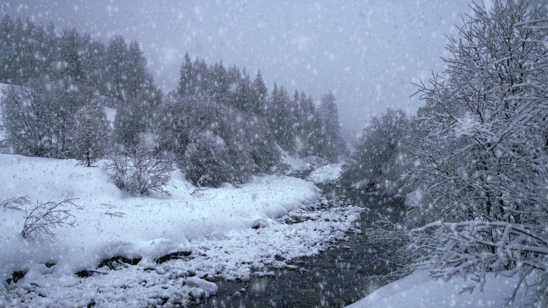 The Search for Snow backdrop