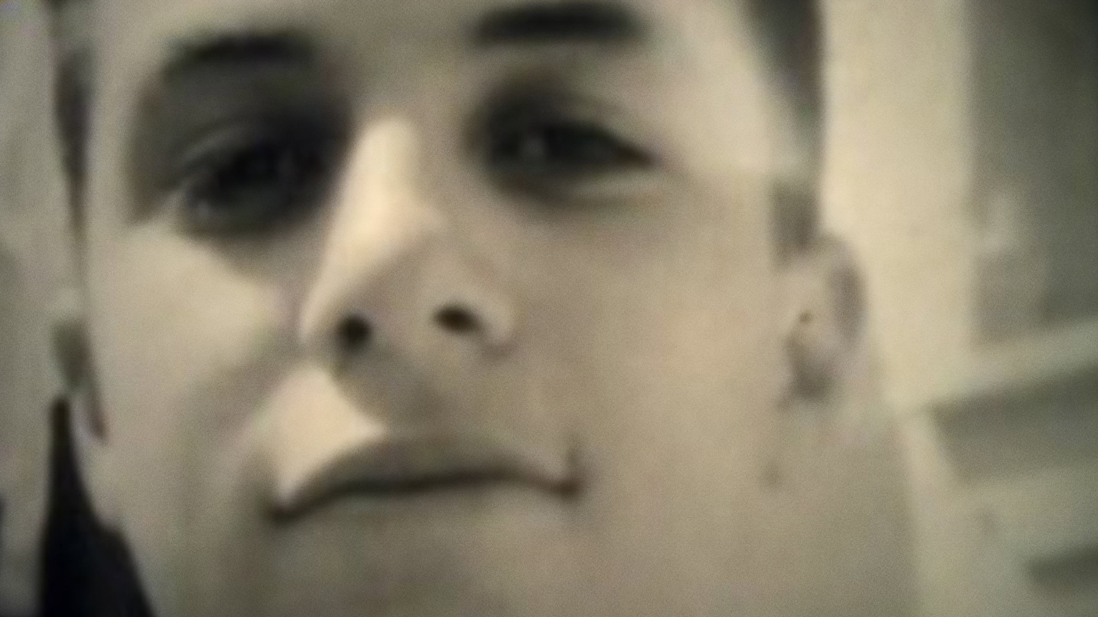 The Long Voyage of the Yellow Bus backdrop