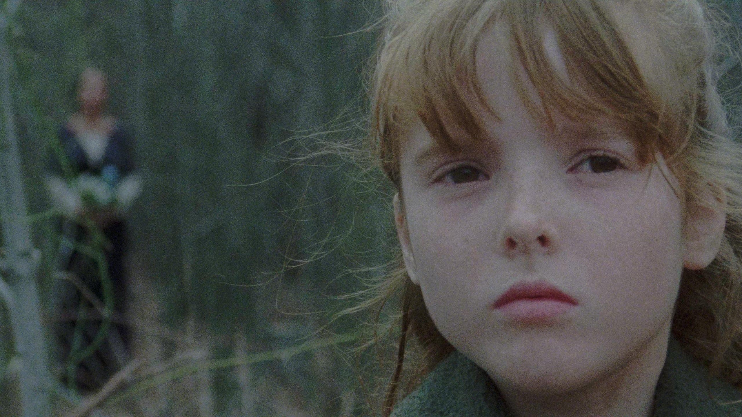 The House by the Cemetery backdrop