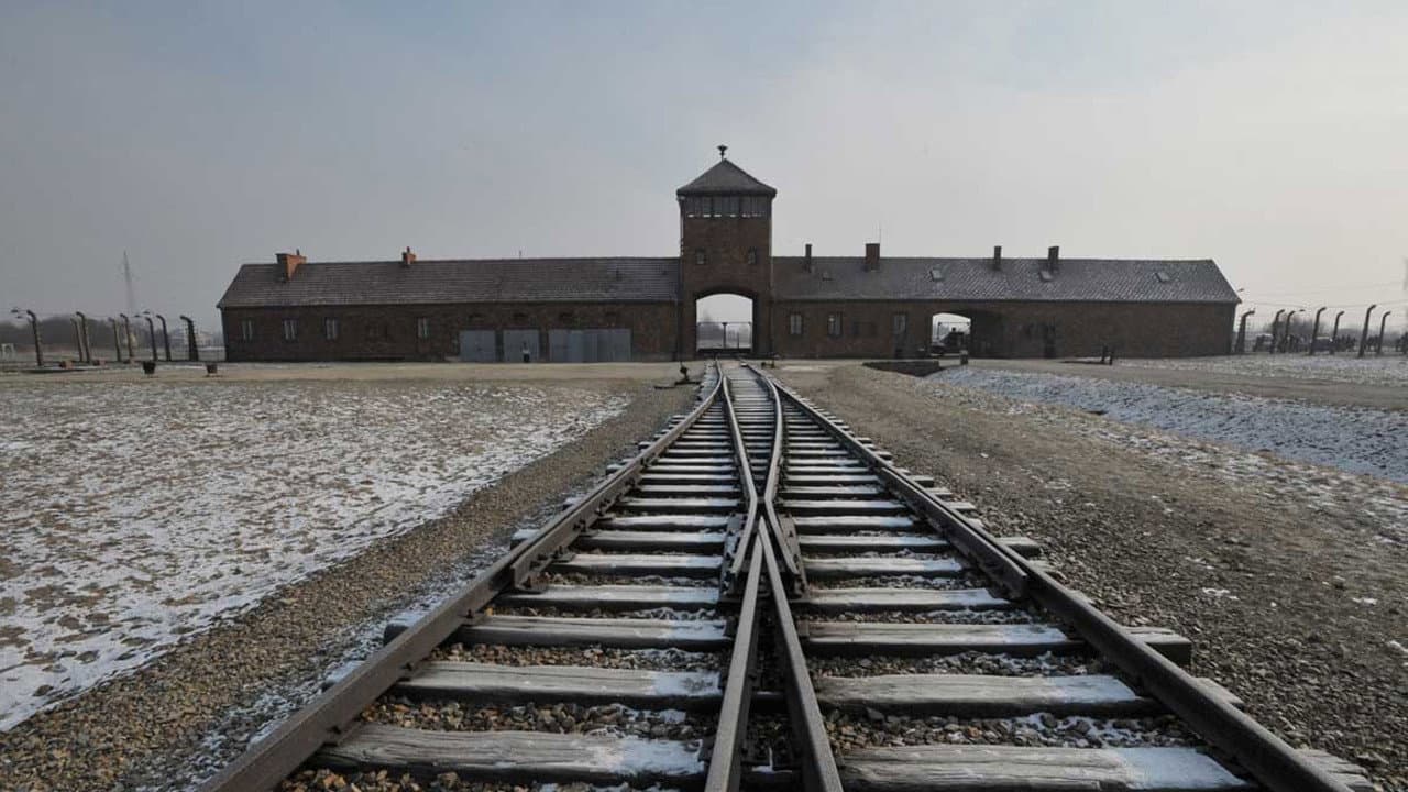 Born in Auschwitz backdrop