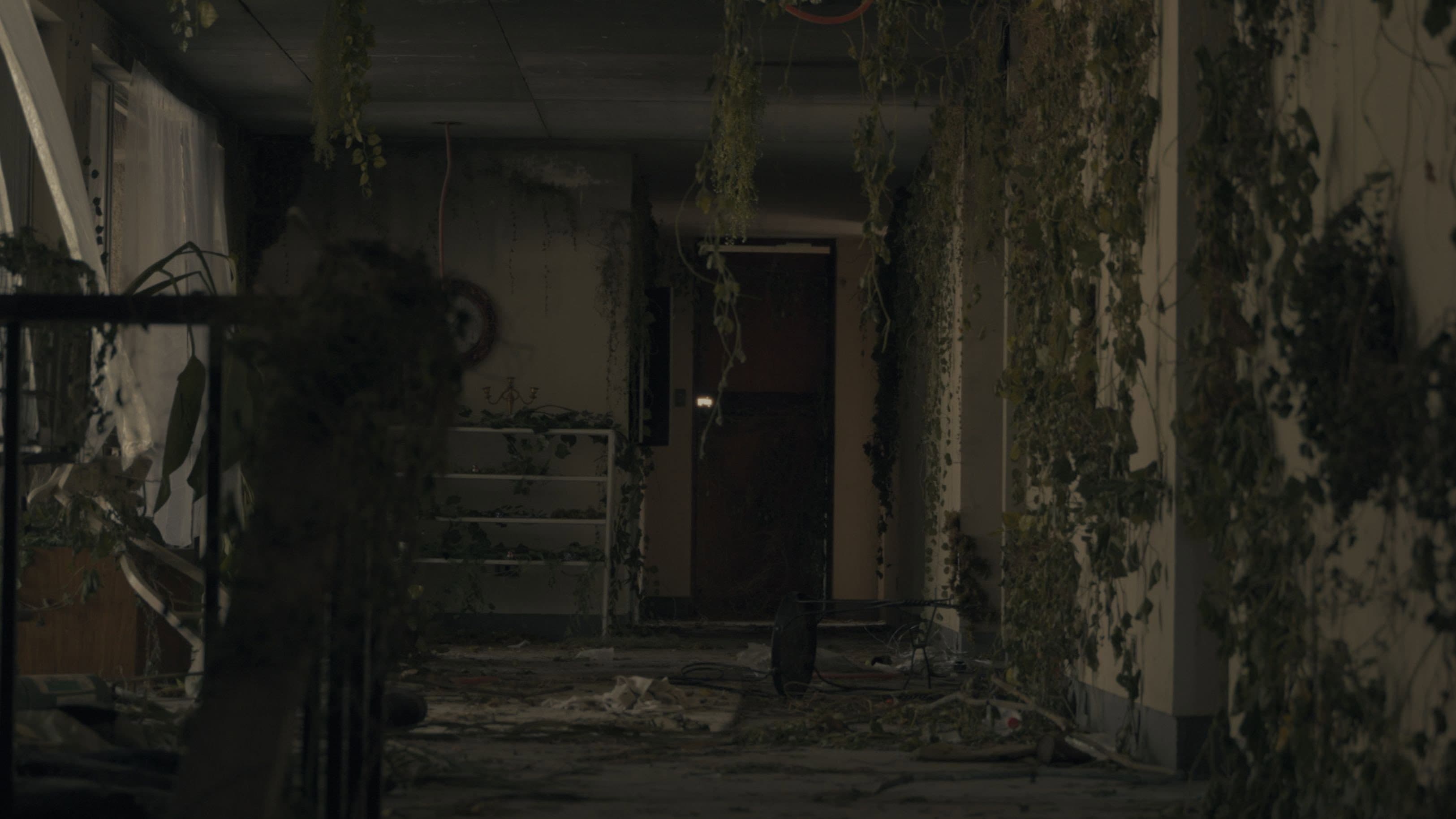 Mabagal Kung Bumagsak Ang Mga Dahon backdrop