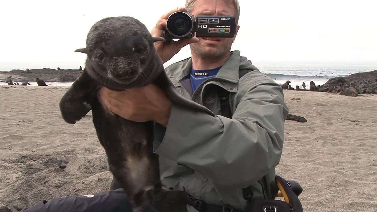 Kamchatka - The Cure for Hatred backdrop