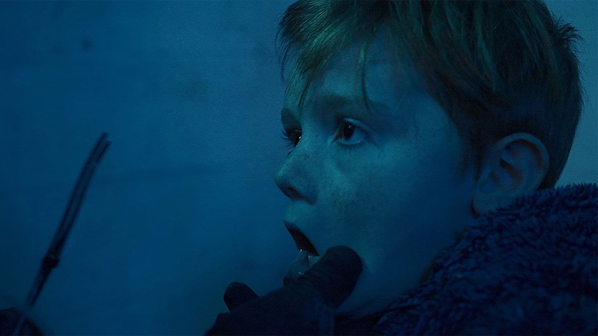 Tooth Fairy backdrop