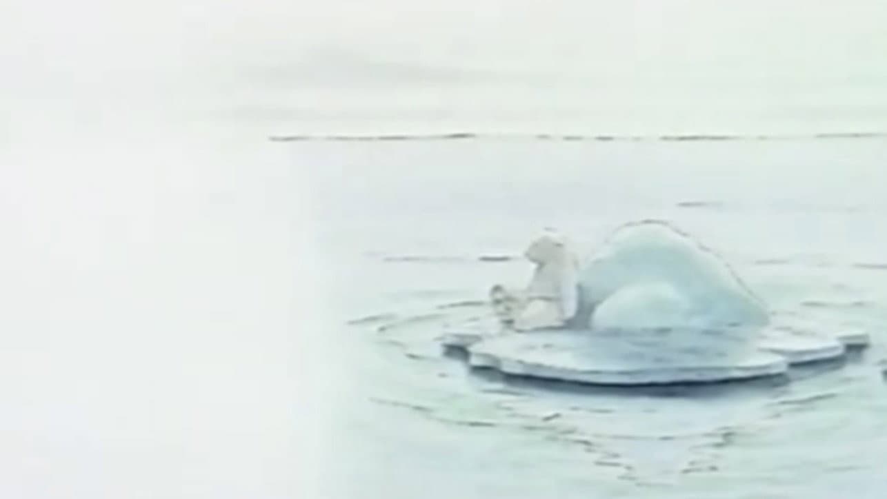 Little Polar Bear backdrop