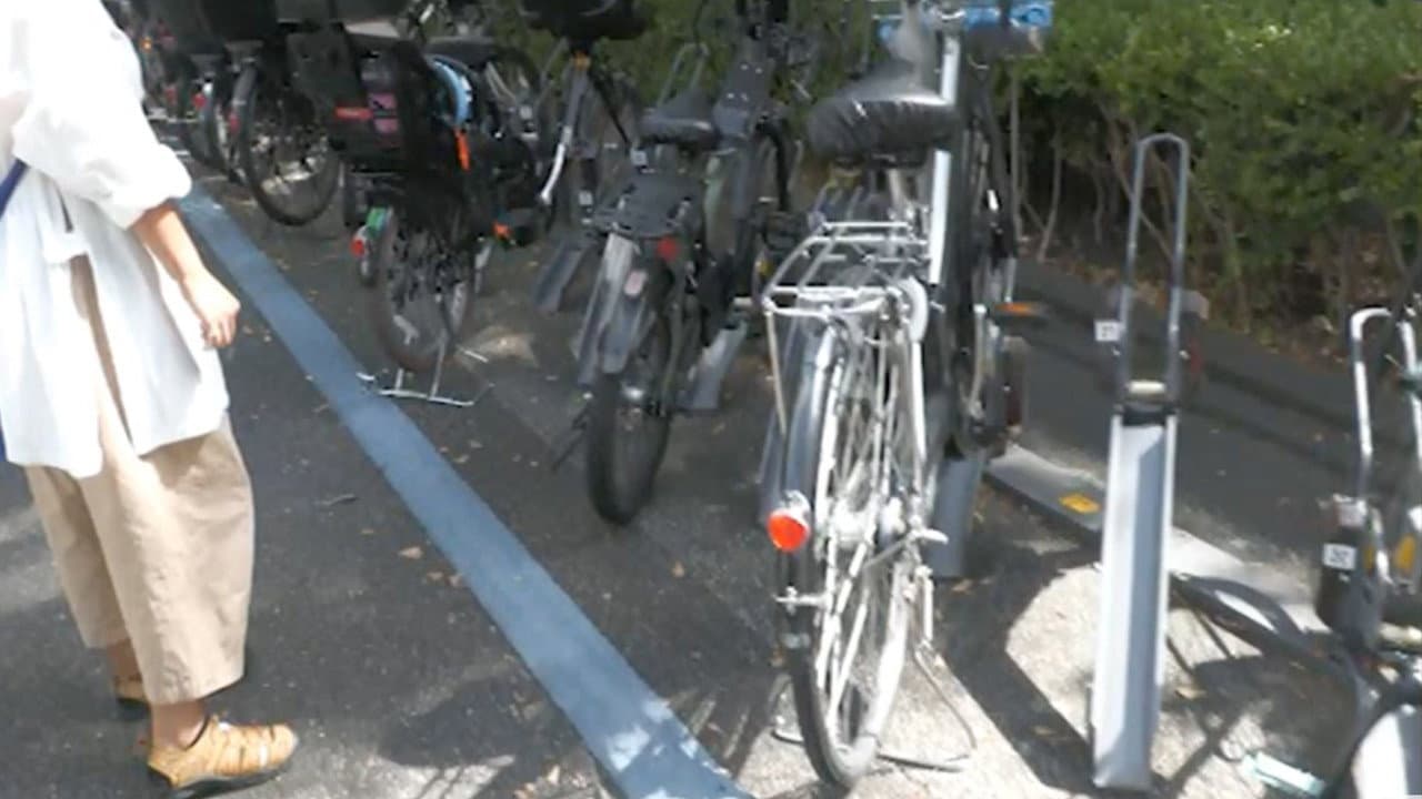 Not Found 46 backdrop