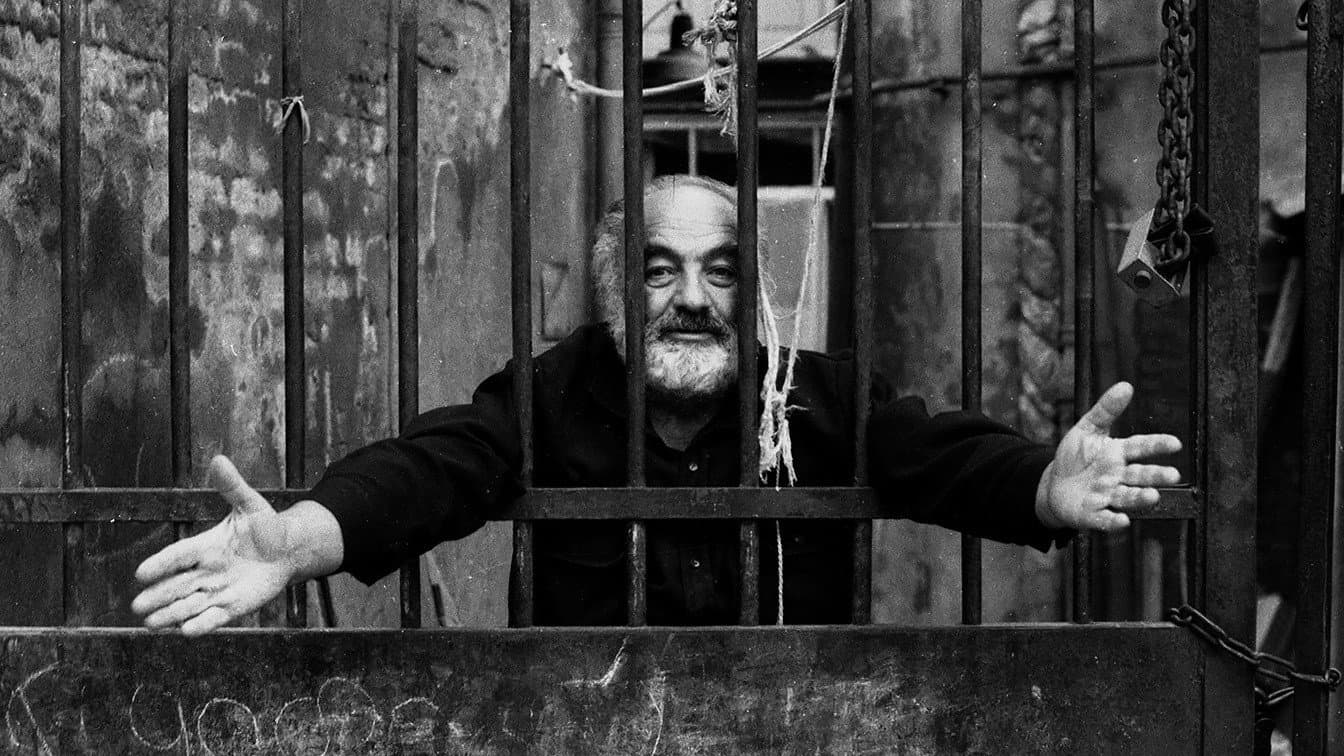 The World Is a Window: Making The Colour of Pomegranates backdrop