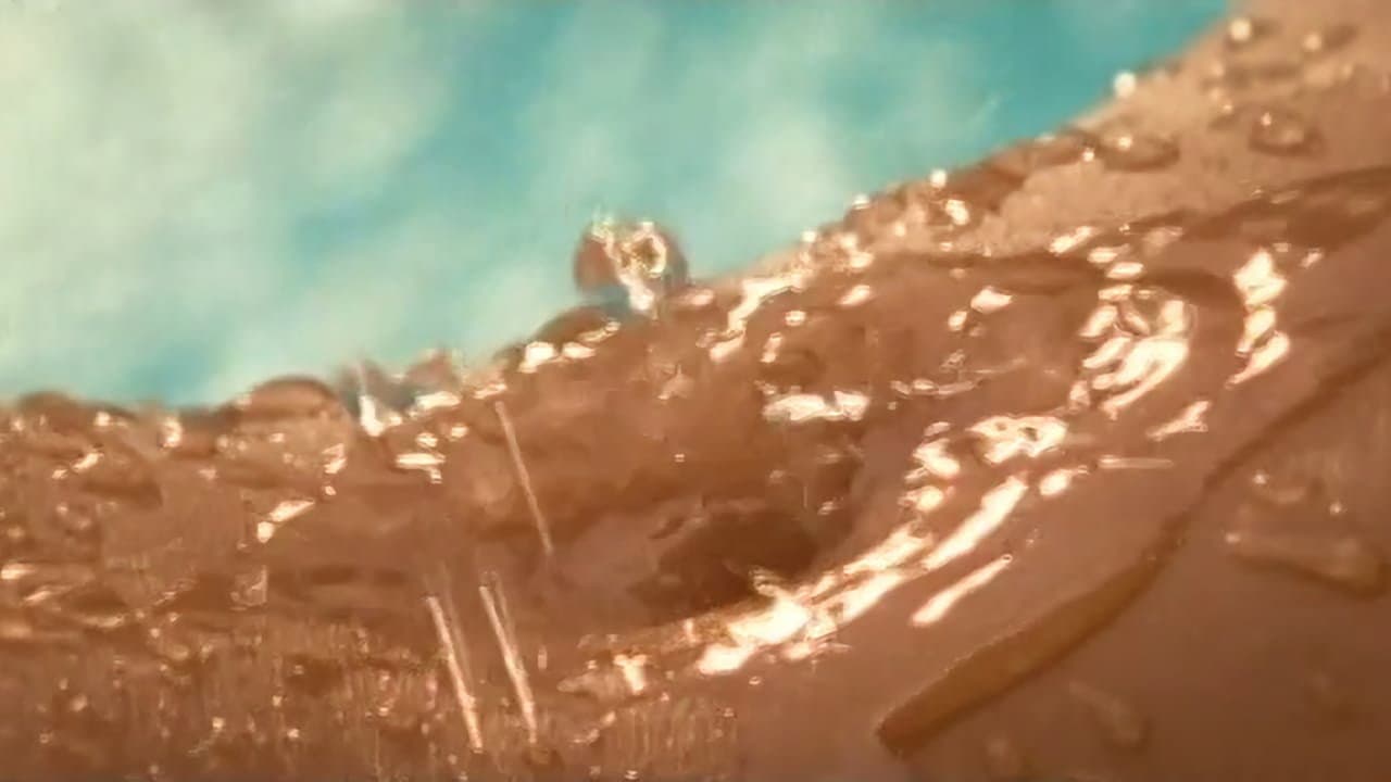 Playboy: Wet & Wild V backdrop