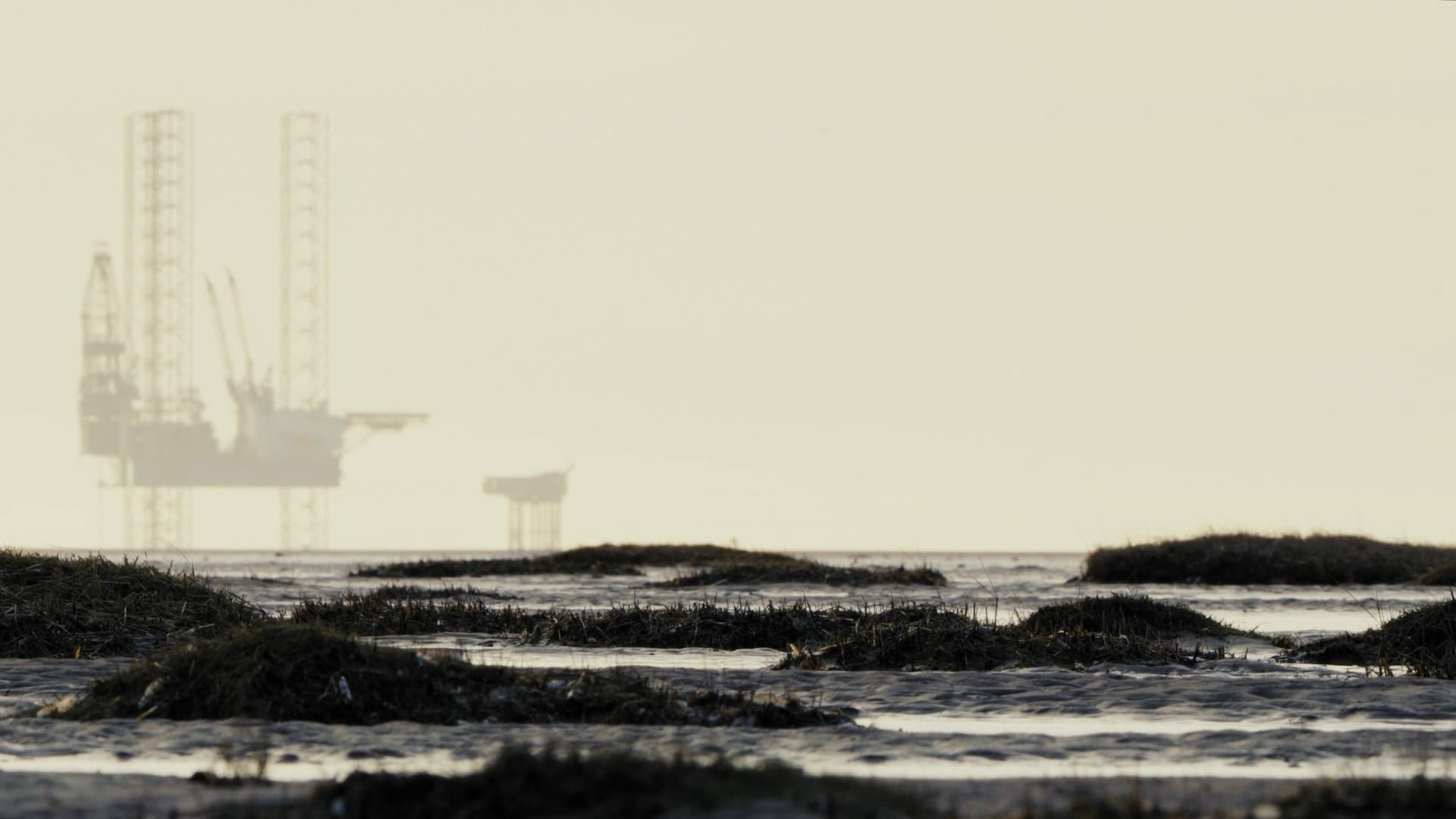 Lands Between backdrop