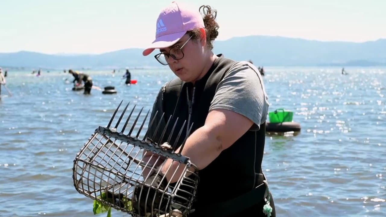 Entre redes backdrop