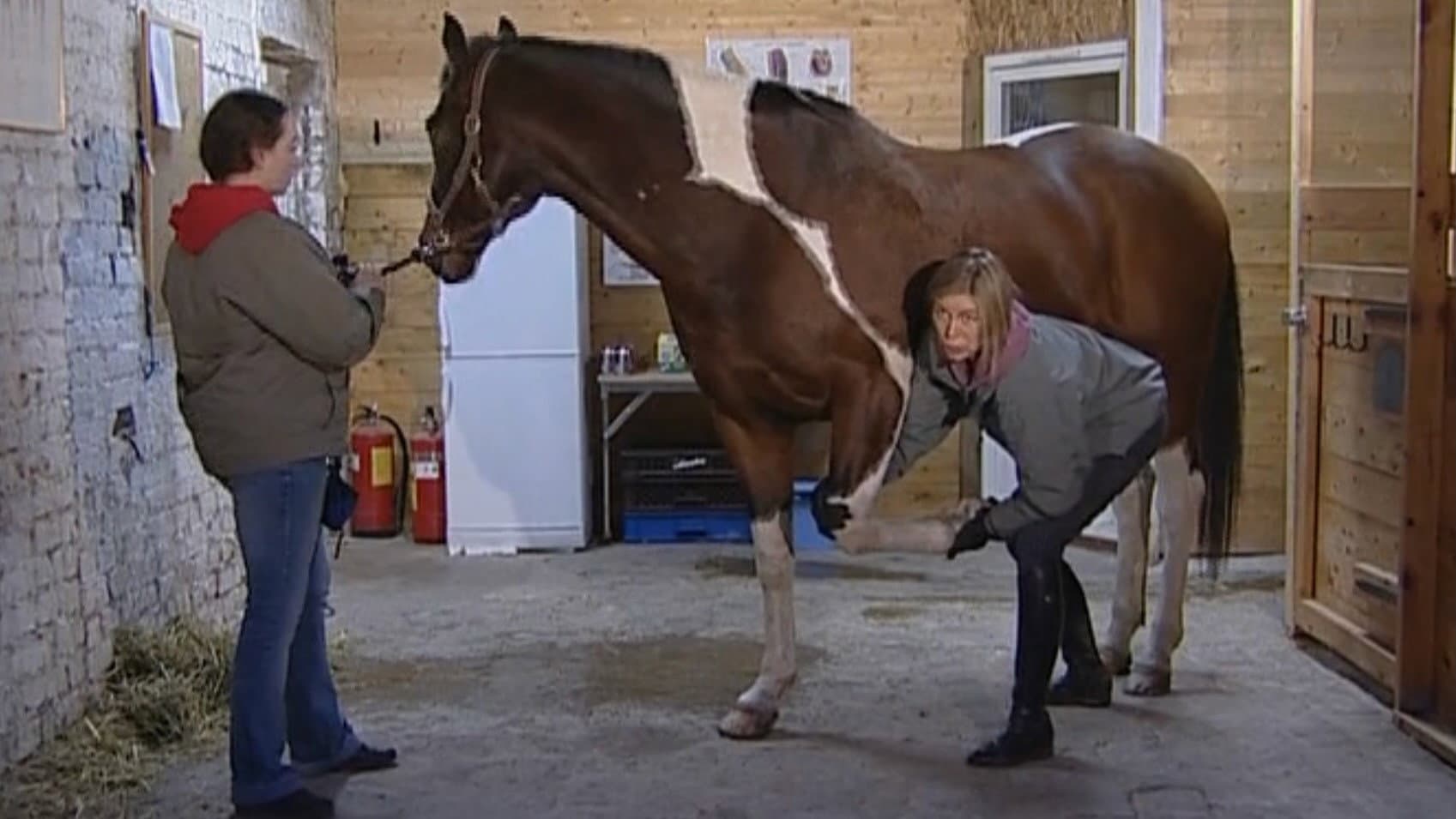 Rörelse utan Gränser backdrop