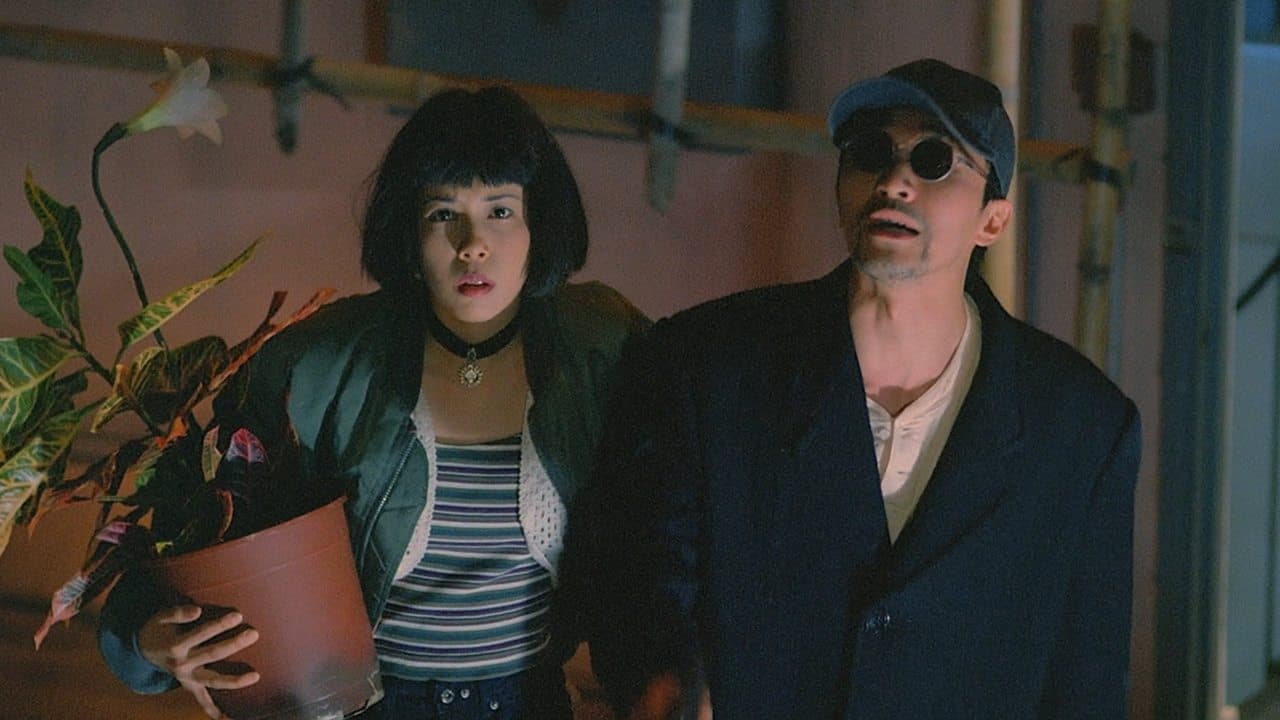 Out of the Dark backdrop