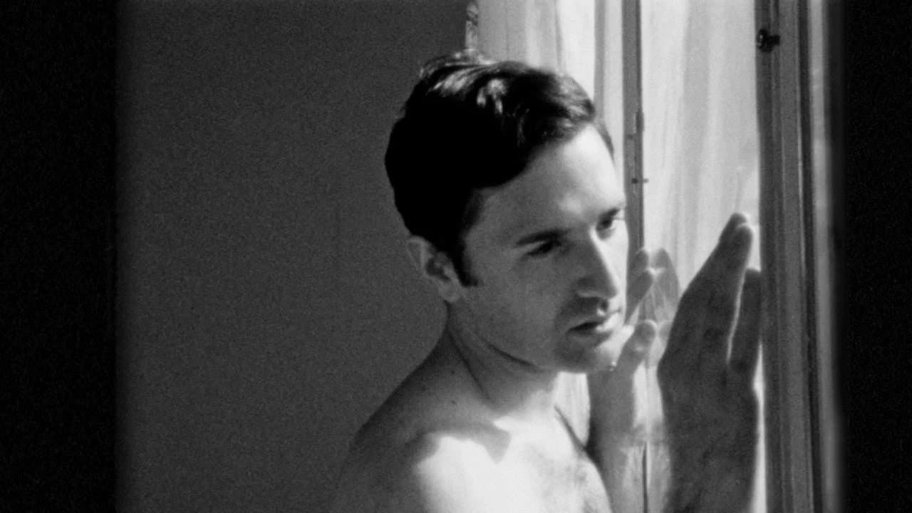 While the Unicorn Is Watching Me backdrop