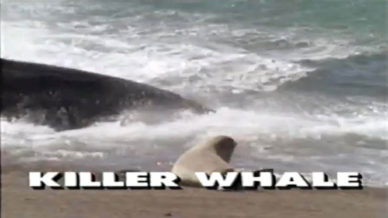 Predators of the Wild: Killer Whale backdrop